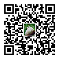 除塵設(shè)備_脫硝脫硫設(shè)備_污水處理_煙氣粉塵治理_唐山鉑銳環(huán)?？萍加邢薰?/></div>
      <!--二維碼結(jié)束-->
      <div   id=